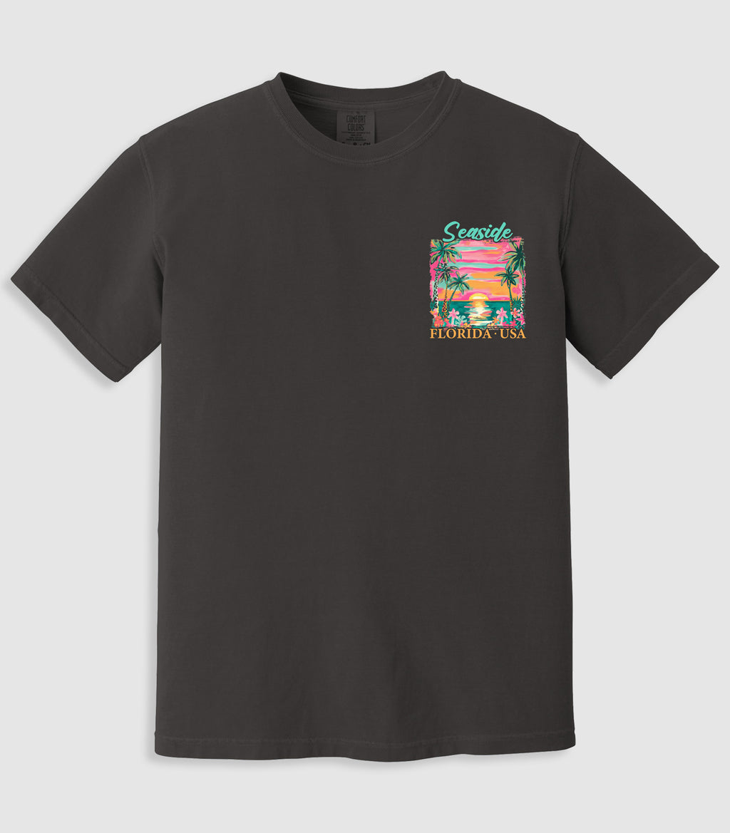 Costal Beach Sunset Palmte