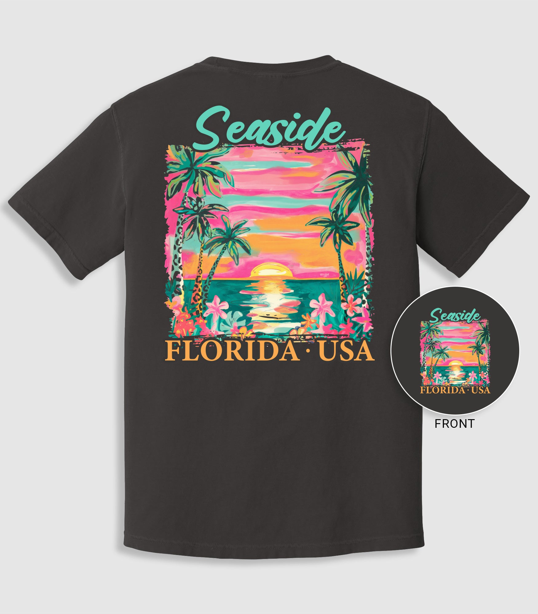 Costal Beach Sunset Palmte